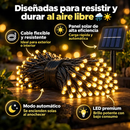 SolarisMx™ - Dale a tu Familia una Navidad Inolvidable ✨