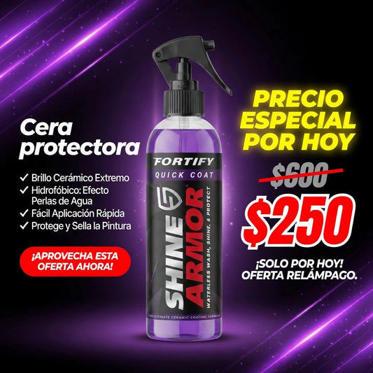 Cera Protectora 3 en 1